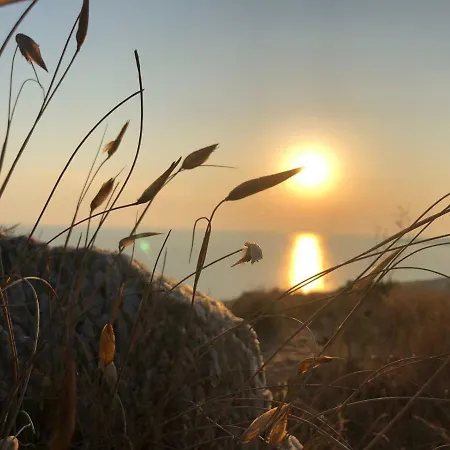 B&B L'eden Di Capo Bianco 몬탈레그로