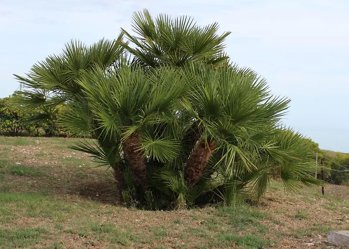 Bed and breakfast L'eden Di Capo Bianco Montallegro