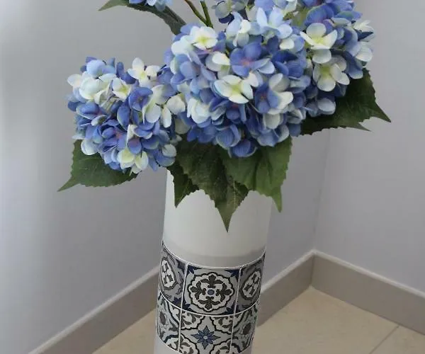 Bed and breakfast L'eden Di Capo Bianco 4*