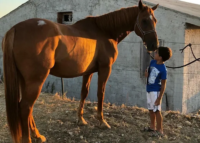 Bed and breakfast L'eden Di Capo Bianco Montallegro