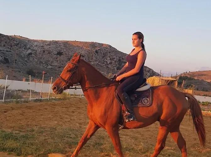 Bed and breakfast L'eden Di Capo Bianco Montallegro